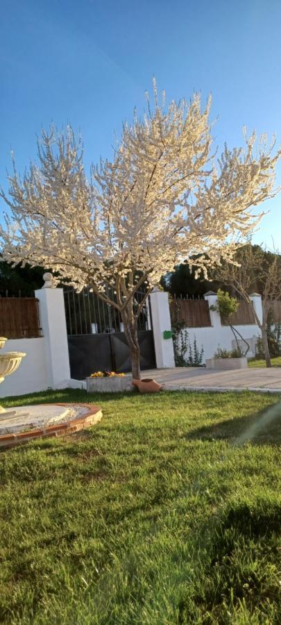 Villa La Espiga Valladolid Exterior foto